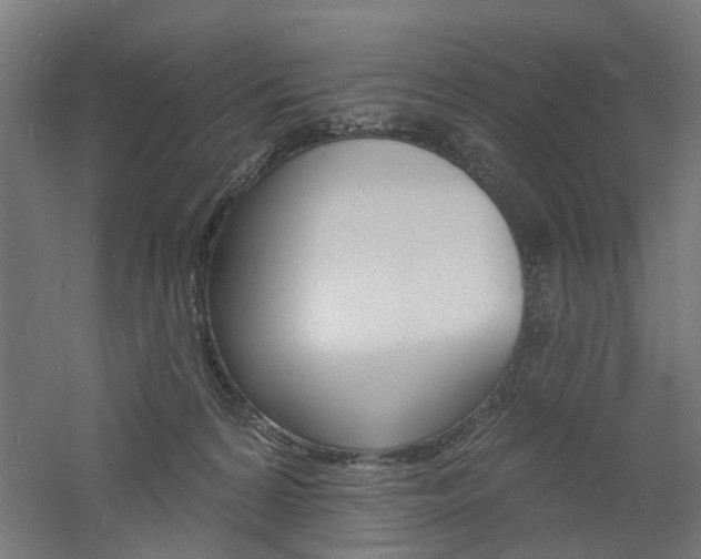 X0000060740224200511100920