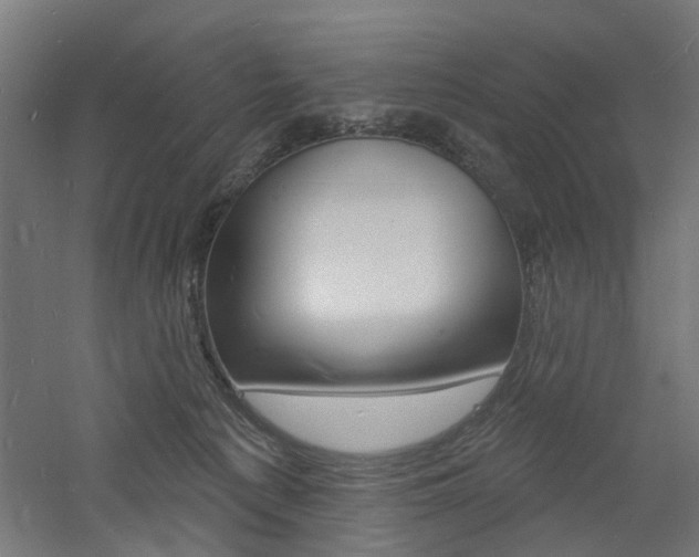 X0000060740225200511100920