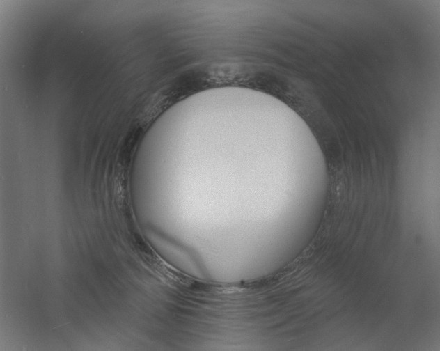 X0000060740226200511100920