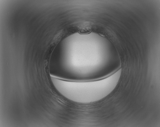 X0000060740229200511100920