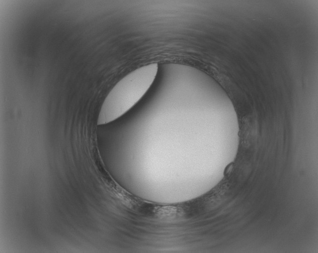 X0000060740230200511100920