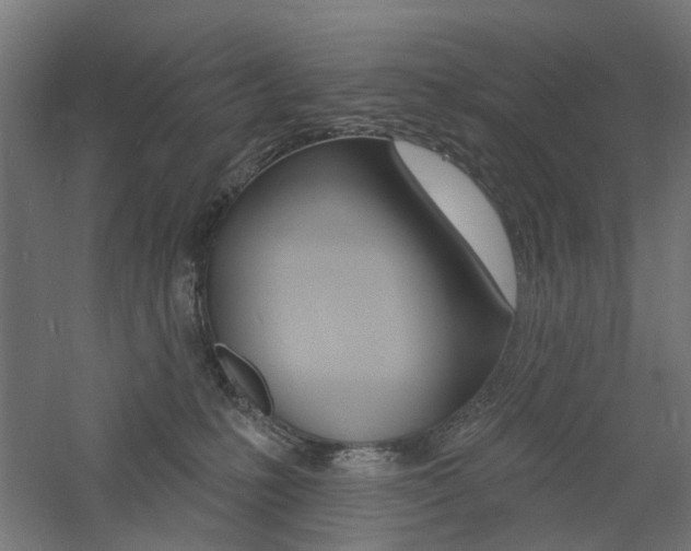 X0000060740231200511100920