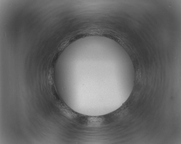 X0000060740234200511100920