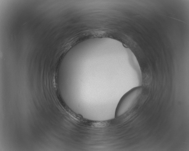 X0000060740238200511100920