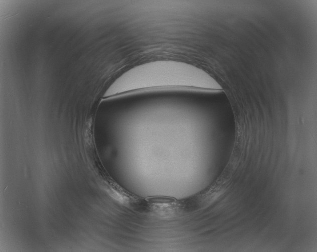 X0000060740239200511100920