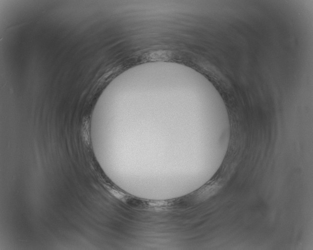 X0000060740240200511100920