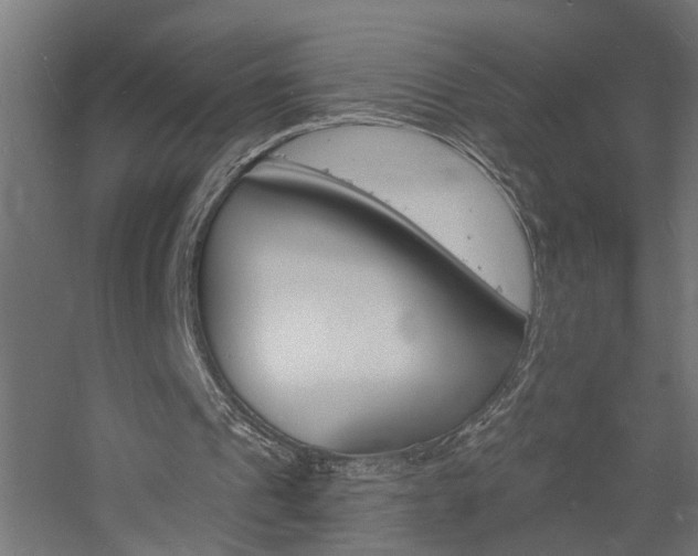 X0000060740241200511100919