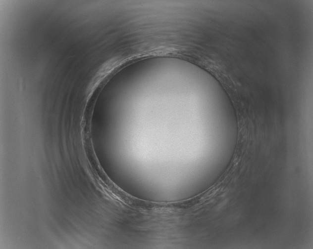 X0000060740242200511100919