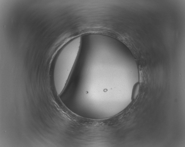 X0000060740243200511100919