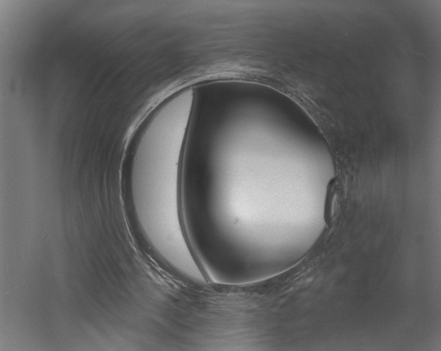 X0000060740244200511100919