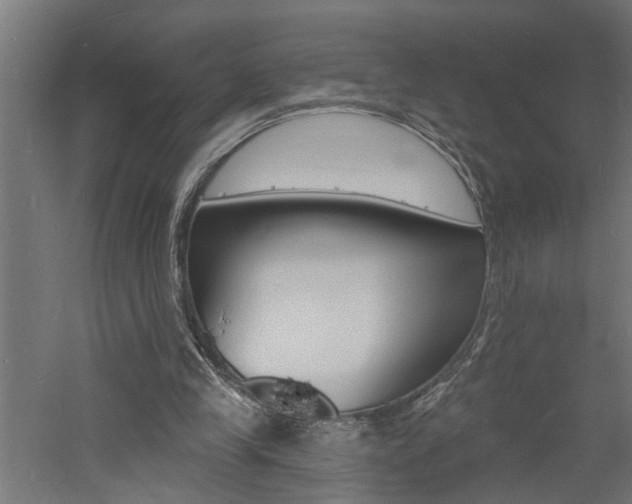 X0000060740245200511100919