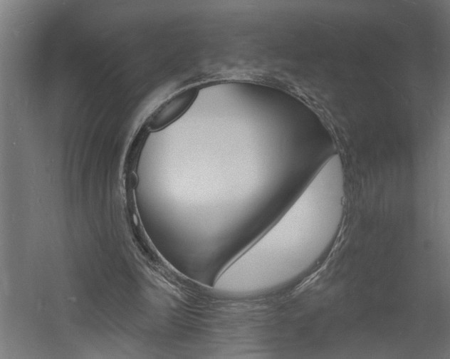 X0000060740246200511100919