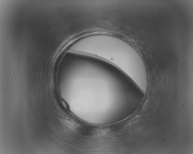 X0000060740247200511100919