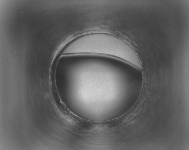 X0000060740248200511100919