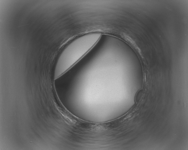 X0000060740249200511100919