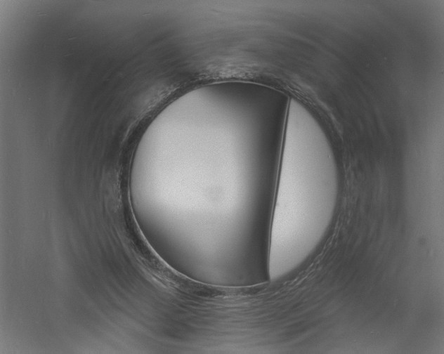 X0000060740250200511100919