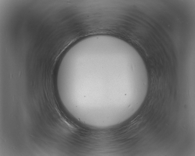 X0000060740251200511100919