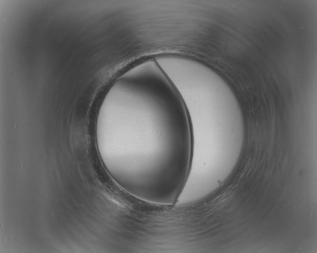 X0000060740252200511100919