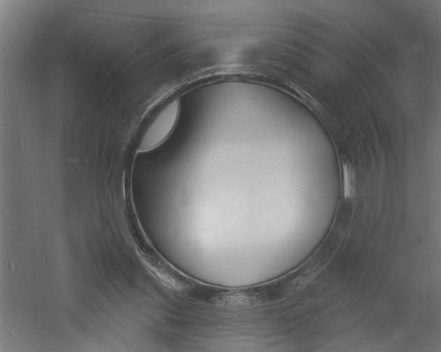 X0000060740253200511100919