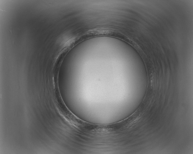 X0000060740254200511100919