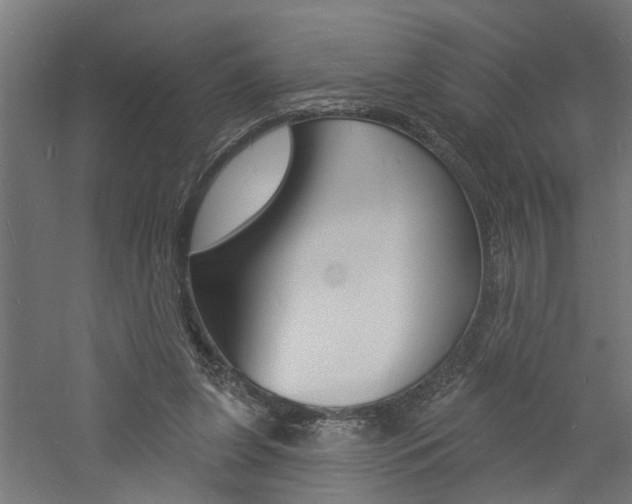 X0000060740255200511100919