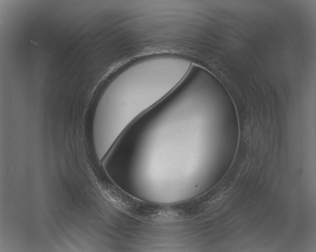 X0000060740256200511100919