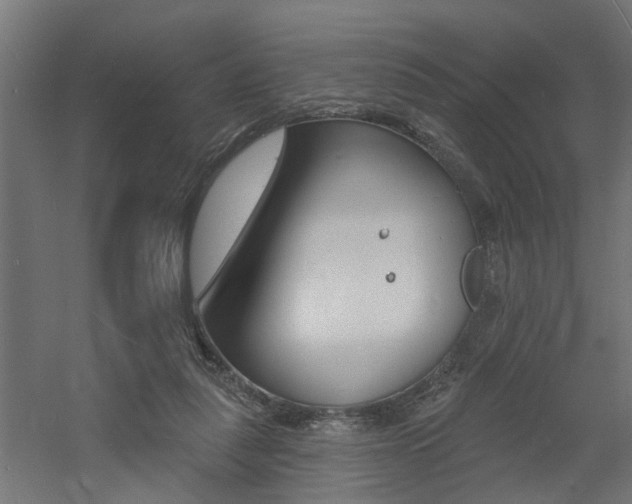 X0000060740259200511100919