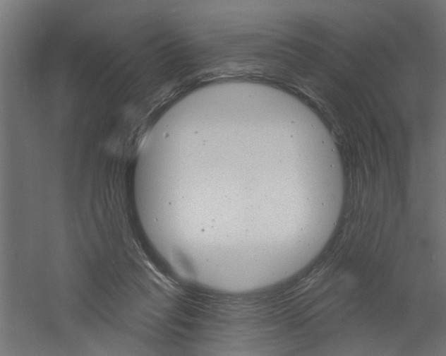 X0000060740261200511100919