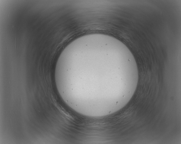 X0000060740262200511100919