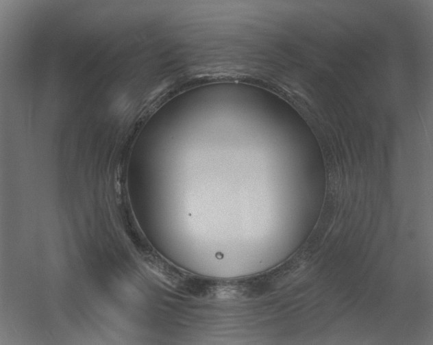 X0000060740264200511100919