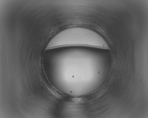 X0000060740265200511100919