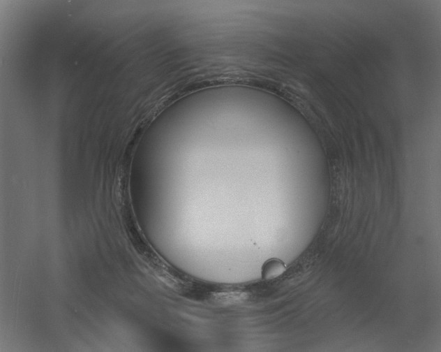 X0000060740266200511100919