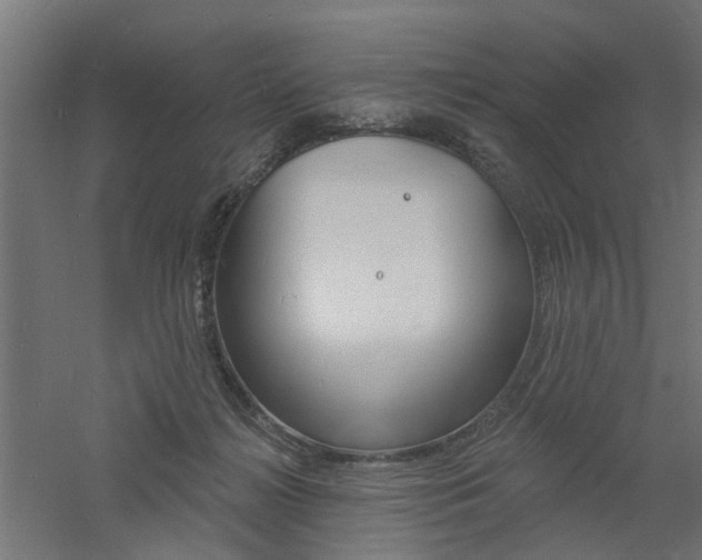 X0000060740268200511100919