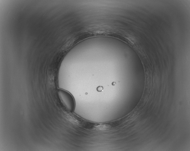 X0000060740269200511100919