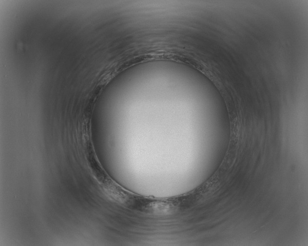 X0000060740272200511100919