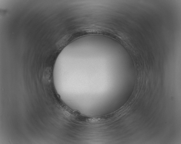 X0000060740273200511100919