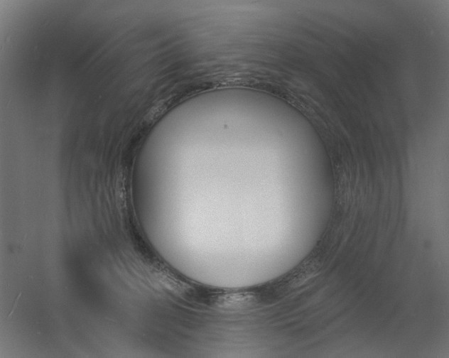 X0000060740274200511100919