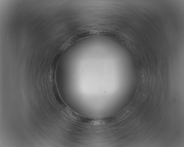 X0000060740275200511100919