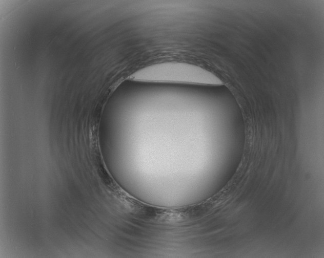 X0000060740276200511100919