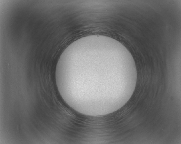 X0000060740278200511100919