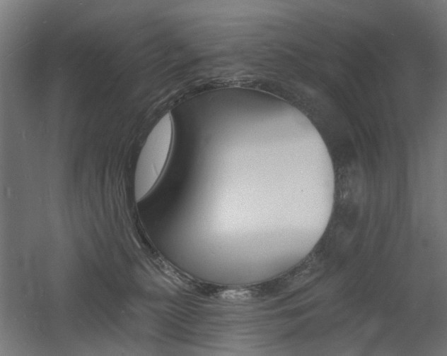 X0000060740279200511100919