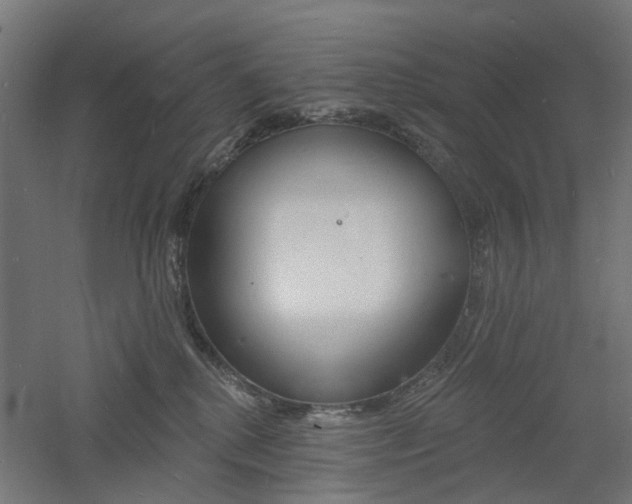 X0000060740280200511100920