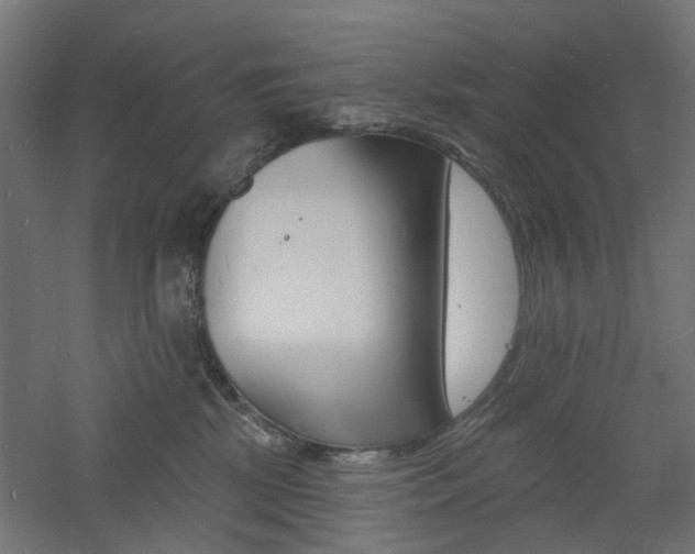 X0000060740281200511100920