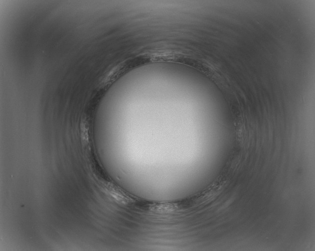 X0000060740282200511100920