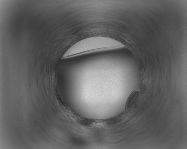 X0000060740283200511100920