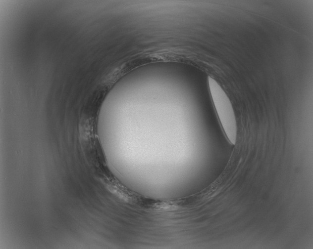 X0000060740284200511100920