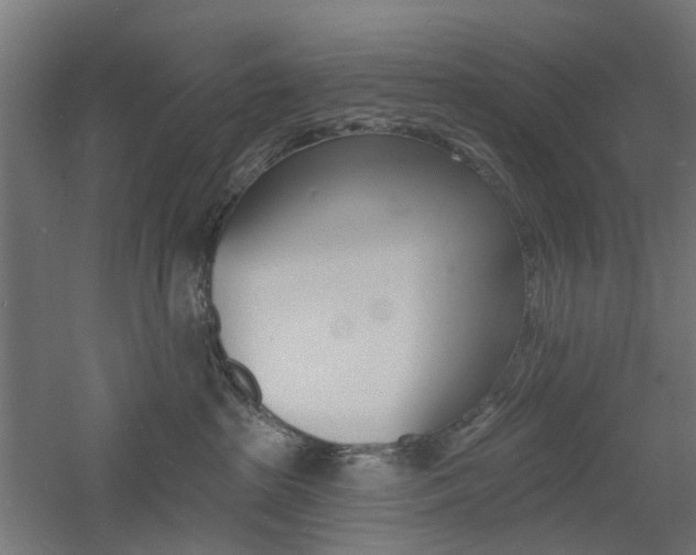 X0000060740285200511100920