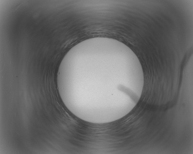 X0000060740287200511100920