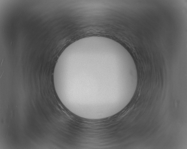 X0000060740288200511100920