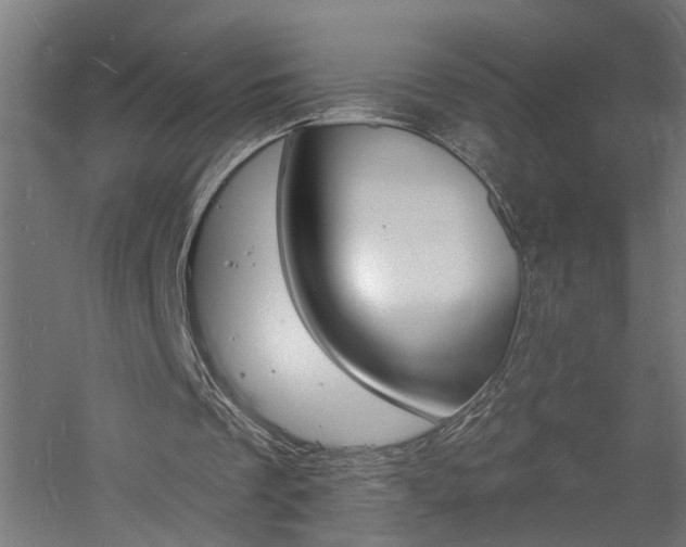 X0000060740289200511100919